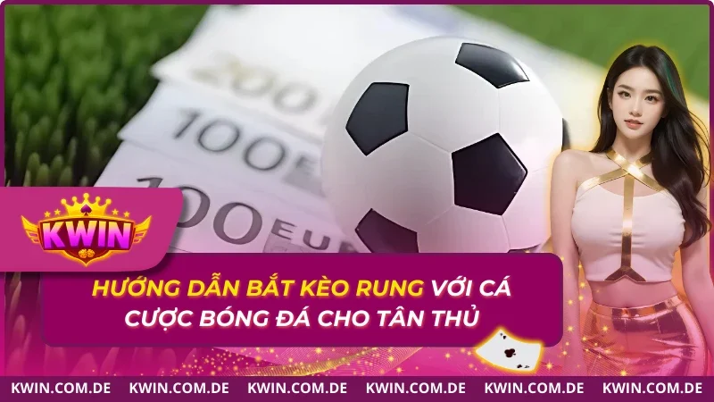 Hướng Dẫn Bắt Kèo Rung